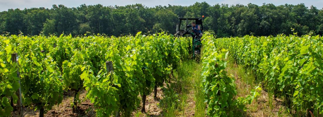 https://www.inrae.fr/actualites/assurance-verte-aider-agriculteurs-reduire-lusage-pesticides