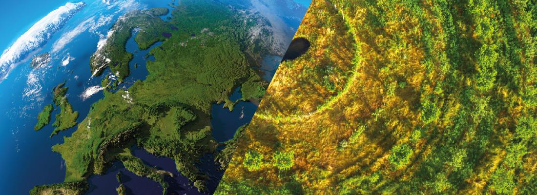 Priorités INRAE 2025-2030 : lancement de 15 défis « Recherche et Innovation »